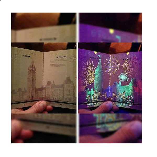 چراغ قوه مدل uv-blklight